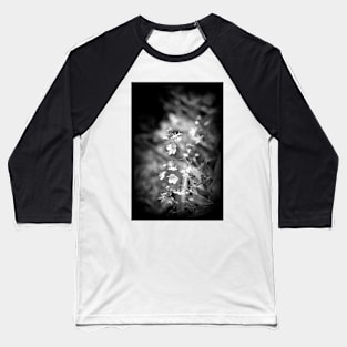 Speedwell wildflowers, black and white Baseball T-Shirt